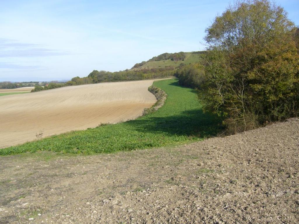 Les Collines Du Breuil Samer Exterior foto