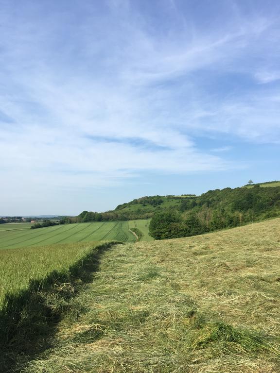 Les Collines Du Breuil Samer Exterior foto